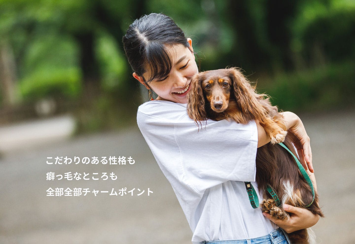 愛犬家の一日《WanScene078》ひかる & 愛介(ダックスフンド)