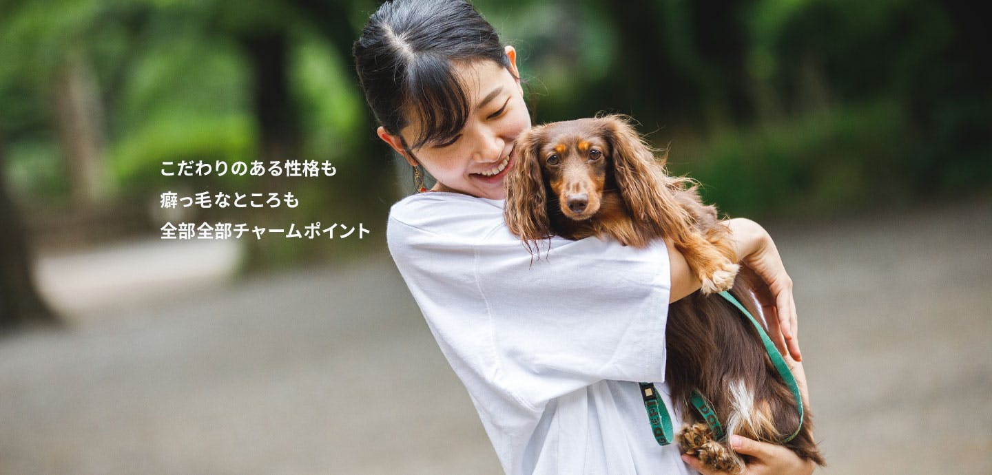 愛犬家の一日《WanScene078》ひかる & 愛介（ダックスフンド