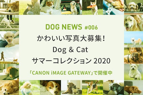 スマホ写真で参加OK！キヤノン「Dog ＆ Cat サマーコレクション2020」