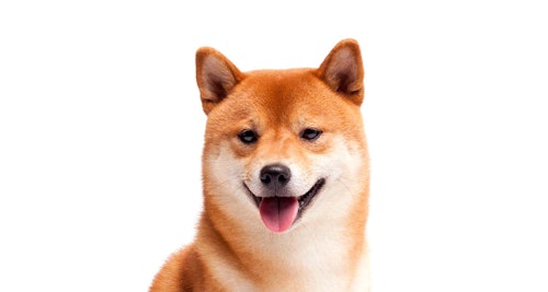 獣医師監修 愛犬の体調を把握するために毎日チェックすべきポイントとは 犬の健康診断 わんクォール 獣医師監修 愛犬の体調を把握するために毎日チェックすべきポイントとは 犬の健康診断 わんクォール