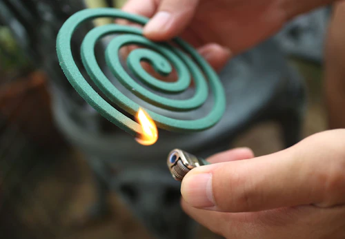 犬に蚊取り線香は大丈夫 使用時の注意点と犬用の虫よけグッズを選ぶポイントを紹介 獣医師監修 わんクォール 犬に蚊取り線香は大丈夫 使用時の注意点と犬用の虫よけグッズを選ぶポイントを紹介 獣医師監修 わんクォール