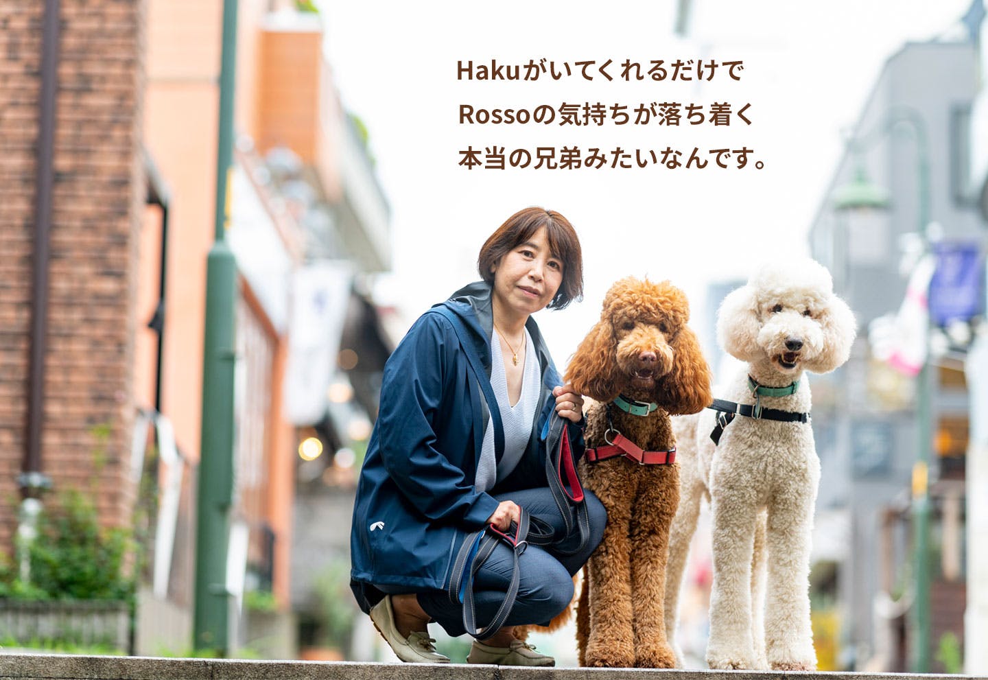 愛犬家の一日《WanScene071》さちえ & ハク・ロッソ（スタンダード・プードル）|ワンクォール