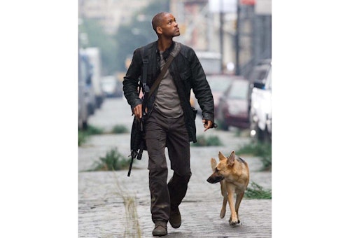 映画 アイ アム レジェンド 地球最後の男と相棒犬が送るハラハラドキドキのサバイバル生活 わんクォール 映画 アイ アム レジェンド 地球最後の男と相棒犬が送るハラハラドキドキのサバイバル生活 わんクォール