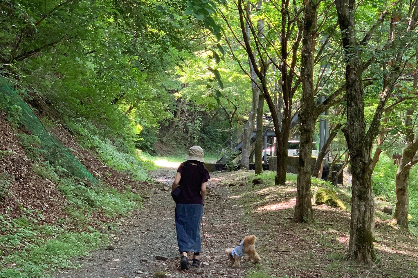 天子の森オートキャンプ場　愛犬と森林浴散歩