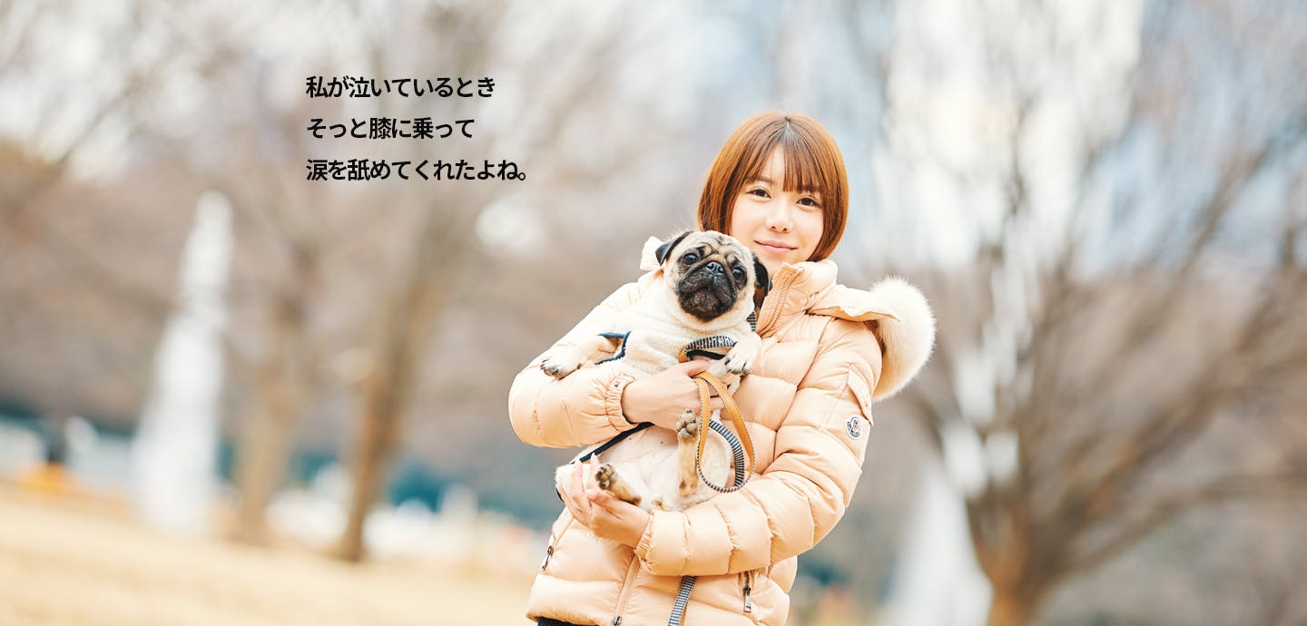 愛犬家の一日《WanScene002》まりん & うどん(パグ)