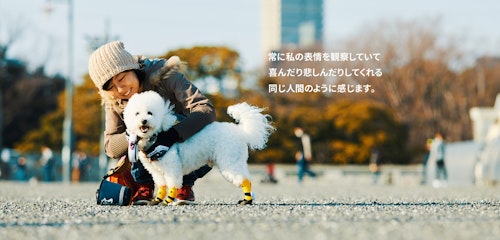 愛犬家の一日《WanScene050》渋谷MC &#038; フレディー（ビション・フリーゼ）