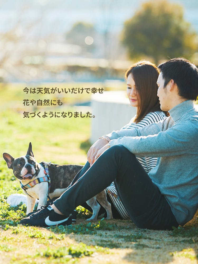 愛犬家の一日《WanScene028》はるぴ・たつみ & ぷっちょ（フレンチ