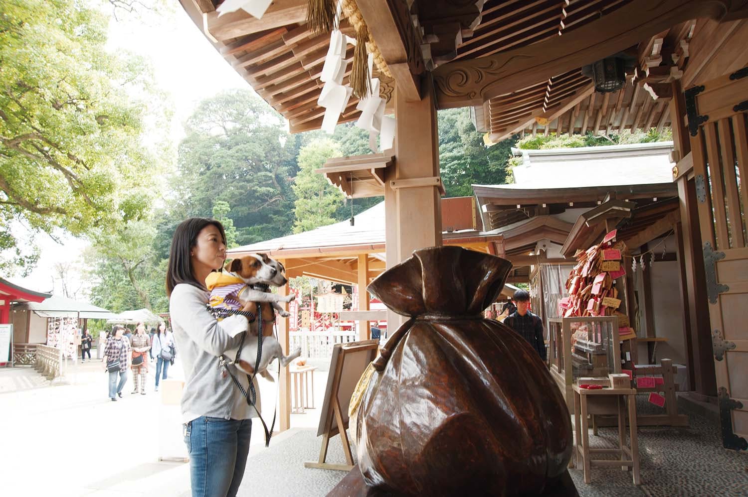 江島神社で愛犬とお参り