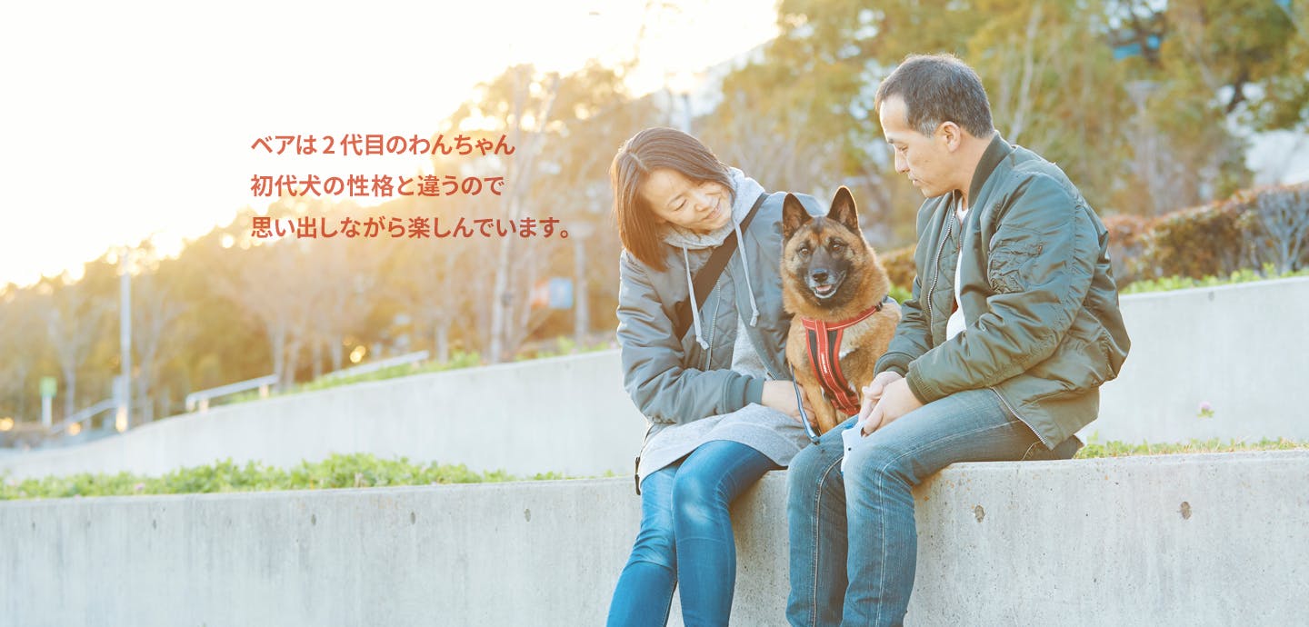 愛犬家の一日《WanScene032》ポッキー・タマ & ベア