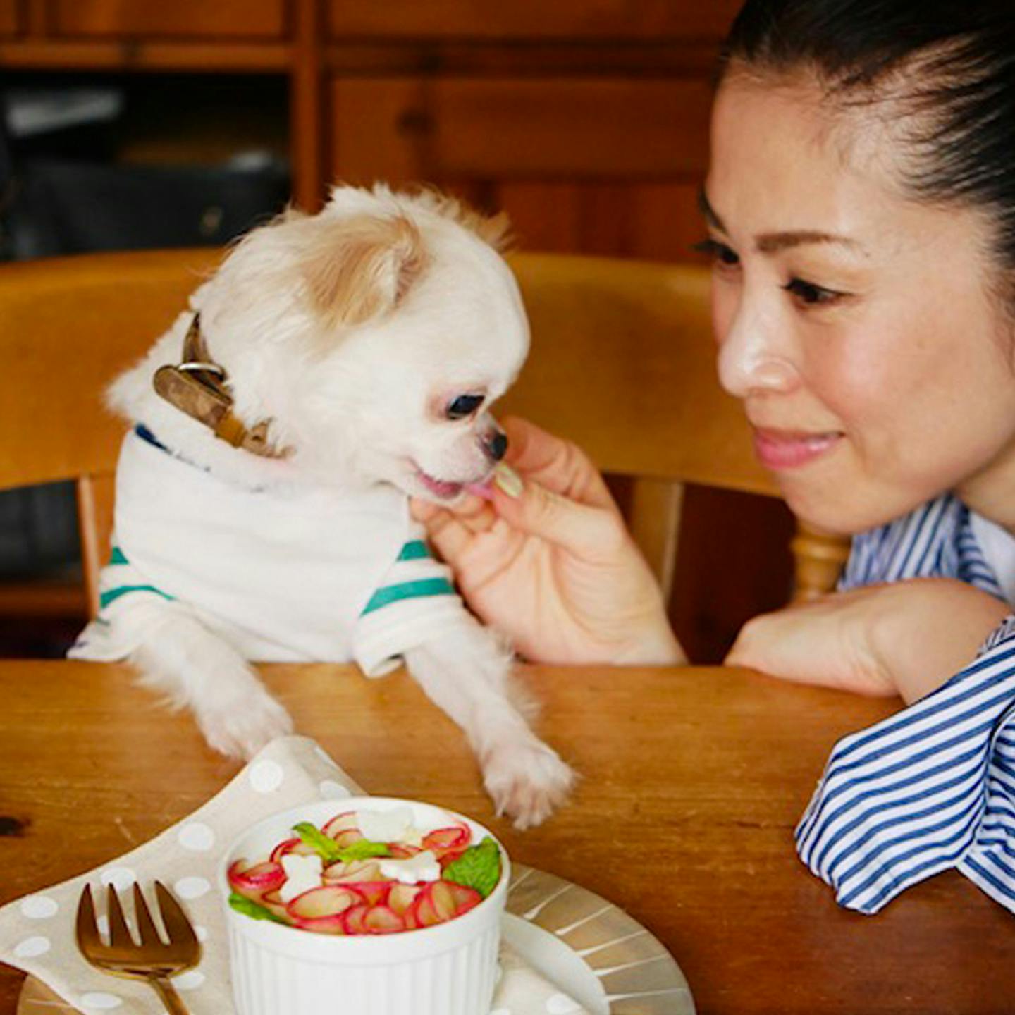 飼い主さんとわんちゃんでシェアできるポテトサラダ