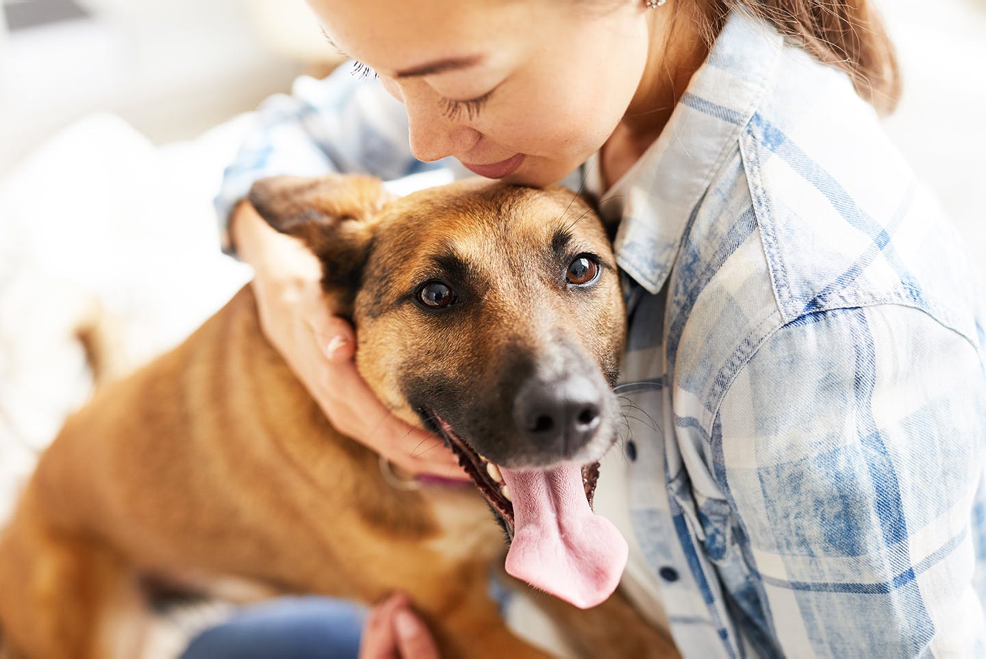 飼い主に抱かれる愛犬