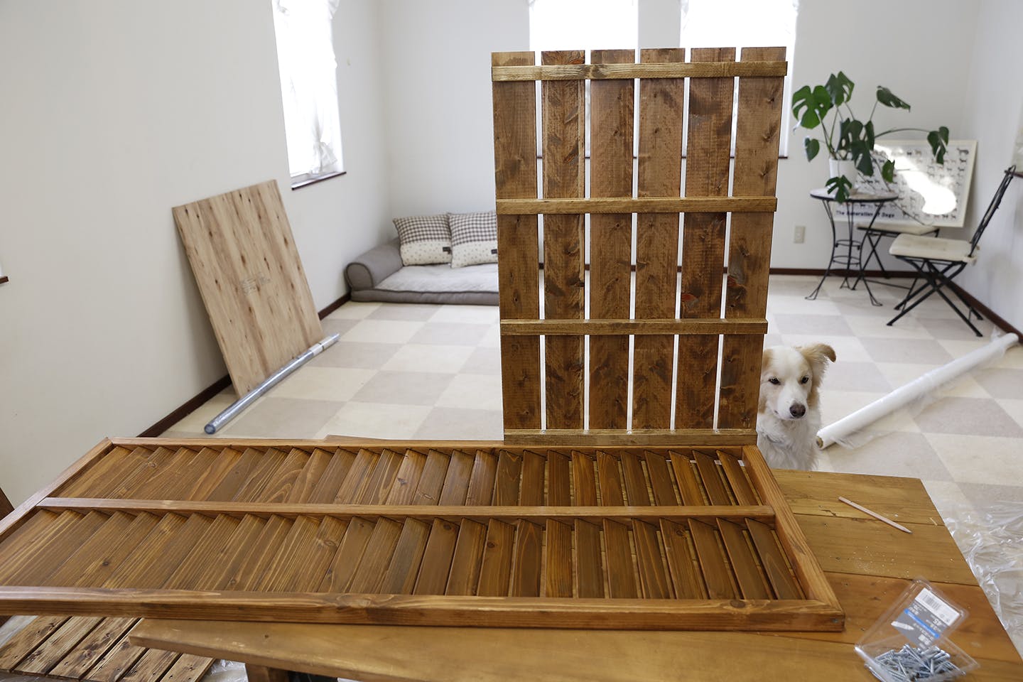 Dog ＆ DIY 大型犬専用「インテリアドッグトイレ」を作ろう！|ワンクォール