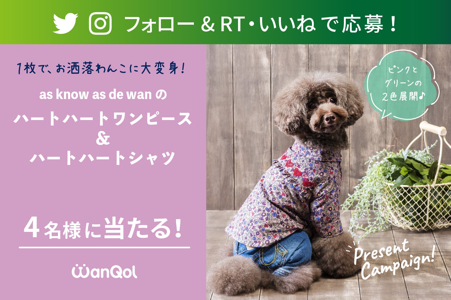 【プレゼントキャンペーン】Twitter or Instagramで as know as de wanのお洋服をゲットしよう！