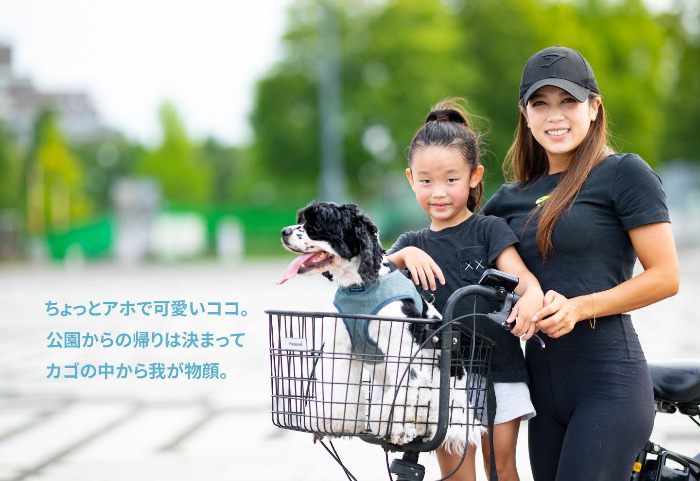 愛犬家の一日《WanScene96》安島さんとココ(アメリカン・コッカー・スパニエル)