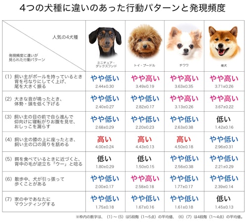 4犬種で違いのあった行動パターンと発現頻度の表