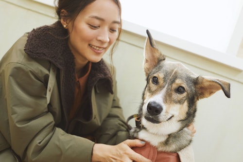 愛犬とリンクコーデでオシャレしよう! おめかしデート服