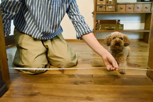 10分で完成 100均アイテムで愛犬の 簡易ペットゲート を作ろう わんクォール 10分で完成 100均アイテムで愛犬の 簡易ペットゲート を作ろう わんクォール