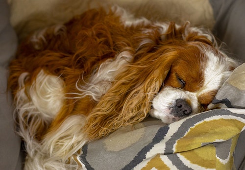 P6ati6udylr8wm P6ati6udylr8wm