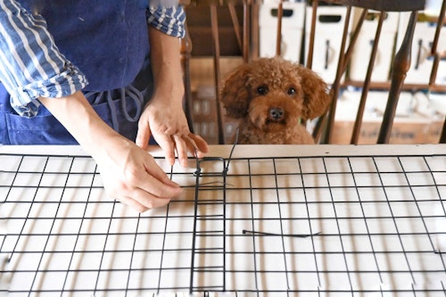 10分で完成 100均アイテムで愛犬の 簡易ペットゲート を作ろう わんクォール 10分で完成 100均アイテムで愛犬の 簡易ペットゲート を作ろう わんクォール