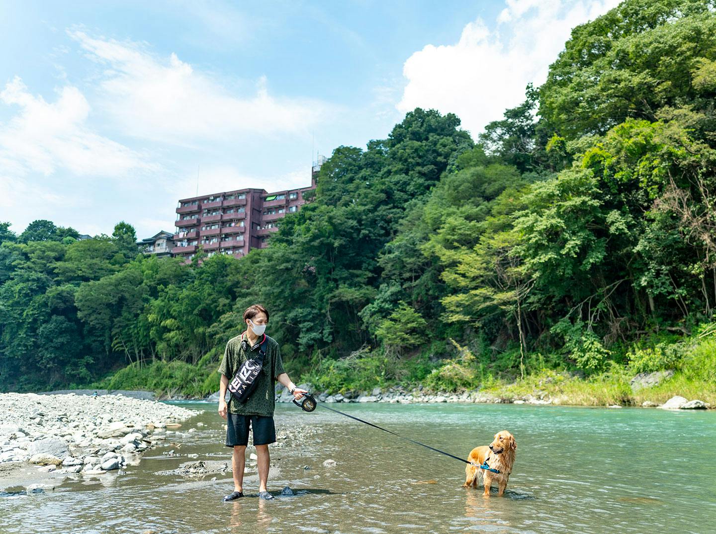 愛犬との川遊び　ゴールデンレトリーバー 