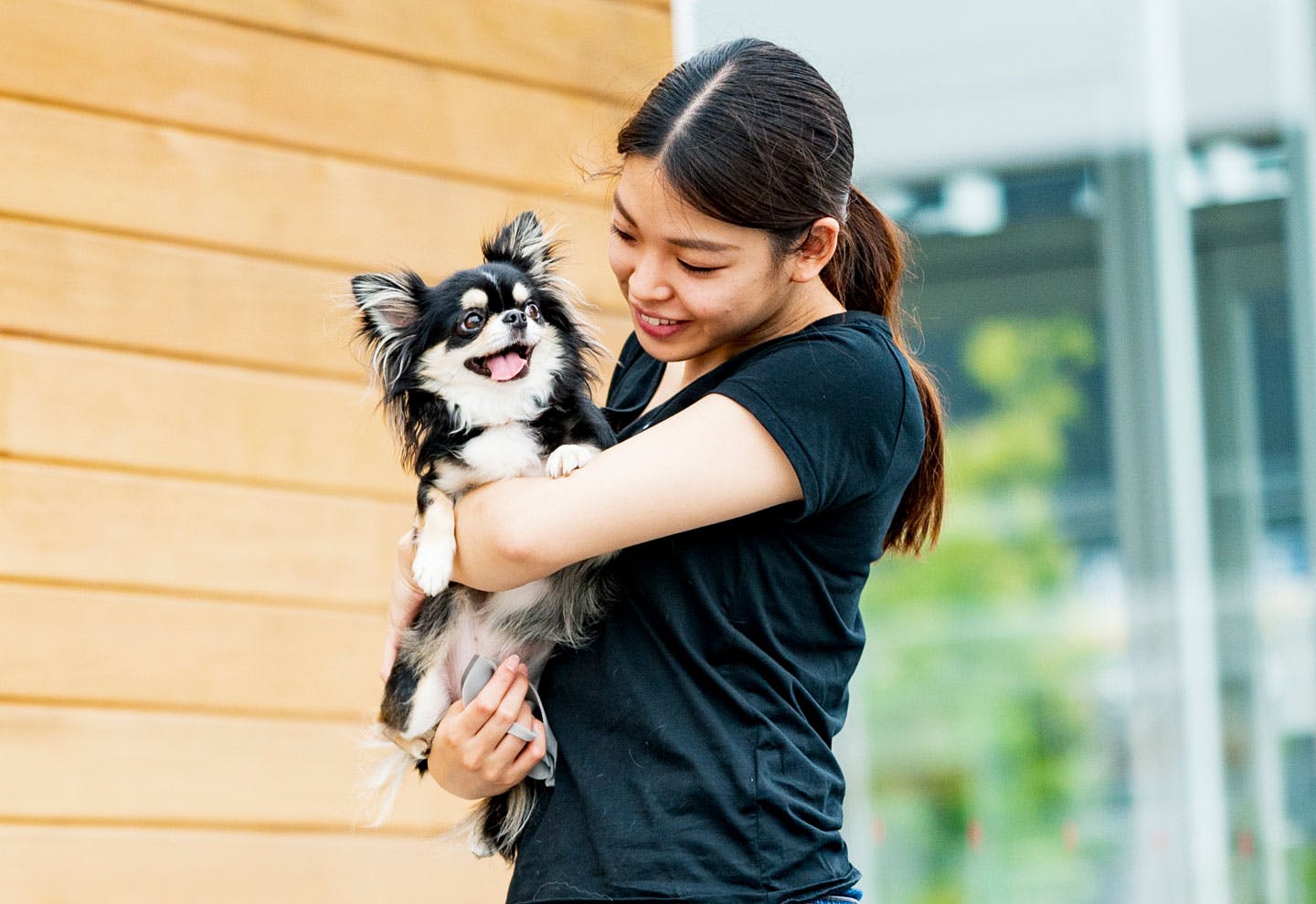 愛犬家の一日《WanScene92》あやこさん、さきさん&ノア（チワワ