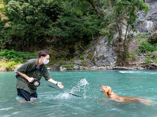 青梅 愛犬と一緒に都内で川遊びしよう 帰りにシャンプーも わんクォール 青梅 愛犬と一緒に都内で川遊びしよう 帰りにシャンプーも わんクォール
