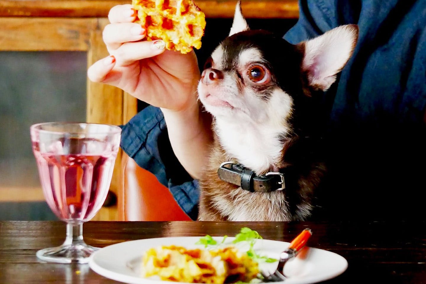 愛犬とのおやつタイム　ポテトサラダワッフル