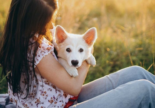 犬の正しい抱っこの仕方 知ってますか 嫌がる理由と対処法 サポートしてくれるグッズについて解説 獣医師監修 わんクォール