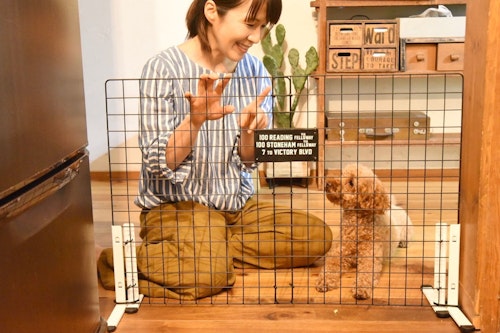 10分で完成 100均アイテムで愛犬の 簡易ペットゲート を作ろう わんクォール 10分で完成 100均アイテムで愛犬の 簡易ペットゲート を作ろう わんクォール