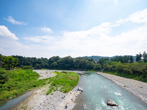 青梅 愛犬と一緒に都内で川遊びしよう 帰りにシャンプーも わんクォール 青梅 愛犬と一緒に都内で川遊びしよう 帰りにシャンプーも わんクォール
