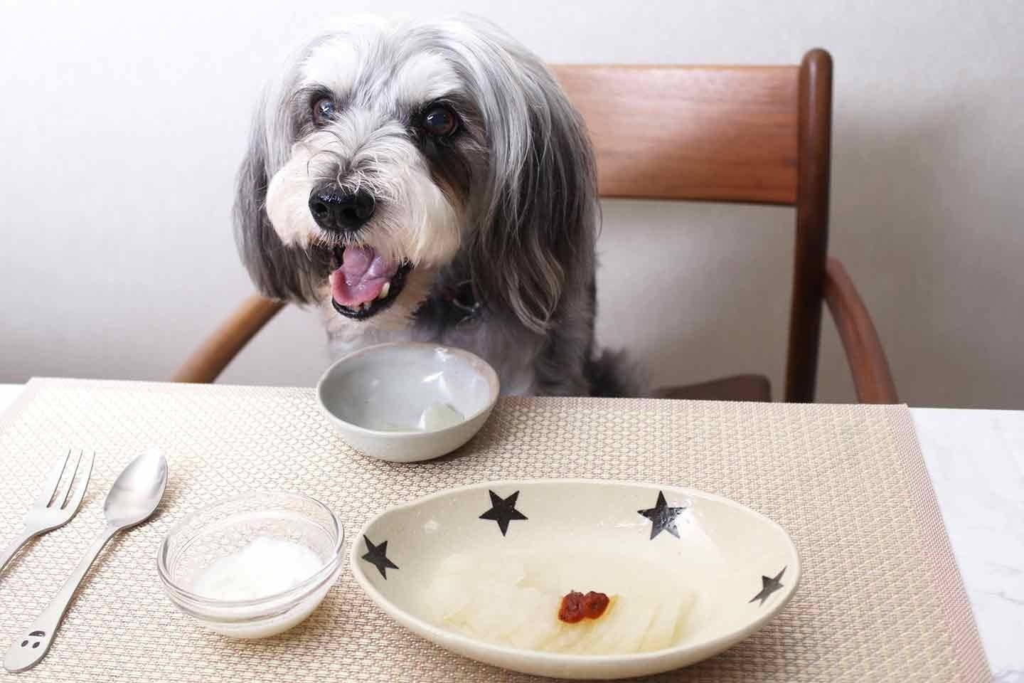 簡単！愛犬と食べたい秋の薬膳レシピ『蒸し梨』