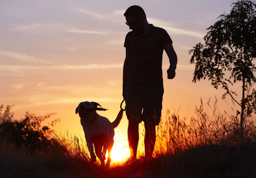 西郷隆盛は愛犬家 銅像で犬を連れている理由や犬に関するエピソードなどを紹介 わんクォール 西郷隆盛は愛犬家 銅像で犬を連れている理由や犬に関するエピソードなどを紹介 わんクォール