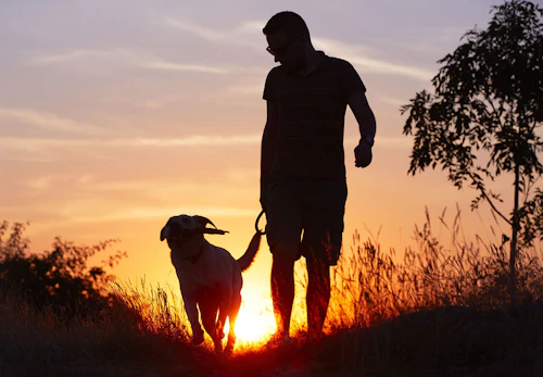 西郷隆盛は愛犬家 銅像で犬を連れている理由や犬に関するエピソードなどを紹介 わんクォール