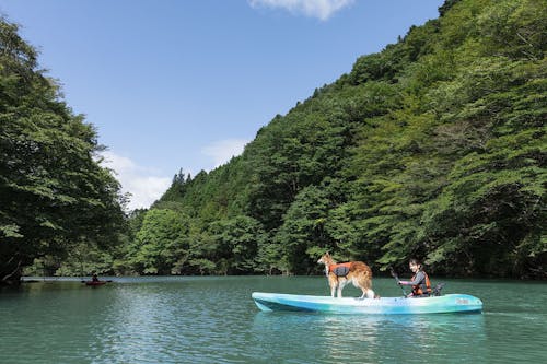 那須 紅葉シーズンにオススメ この秋の週末は愛犬と関東近郊に出かけて遊ぼう わんクォール