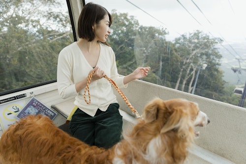 【那須】犬と乗れるゴンドラを初体験♪関東最大級の山頂ドッグランへ行こう！《WanQol編集部レポ》