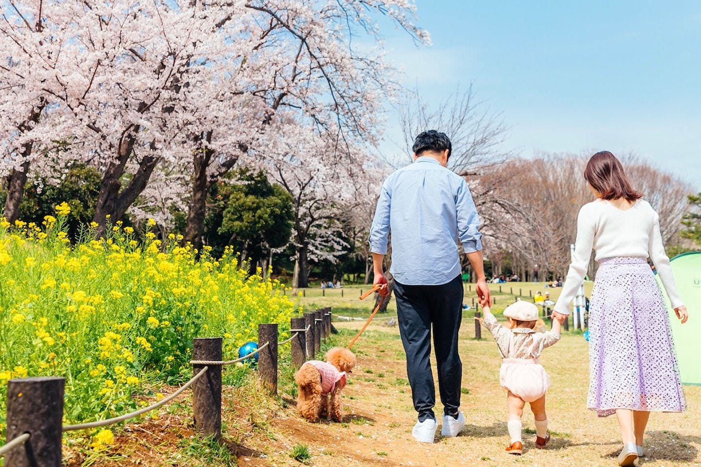 【わんこと暮らす家】ナチュラルで統一感のある北欧風リビング　家族で犬と出かける佐々木さん