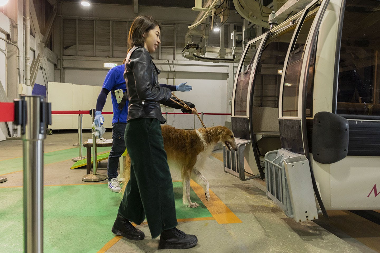 那須 犬と乗れるゴンドラを初体験 関東最大級の山頂ドッグランへ行こう Wanqol編集部レポ わんクォール