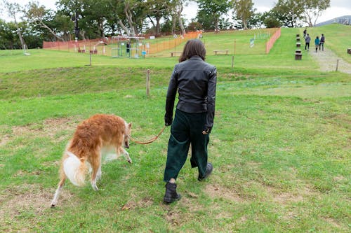 那須 犬と乗れるゴンドラを初体験 関東最大級の山頂ドッグランへ行こう Wanqol編集部レポ わんクォール