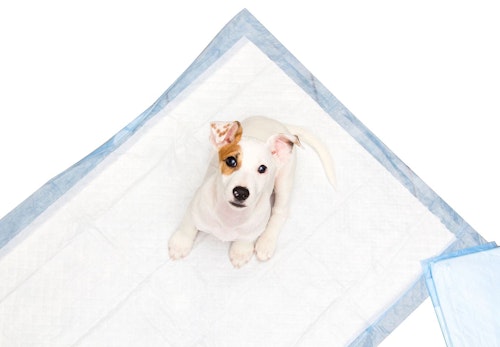 Scaidq99uawfjm Scaidq99uawfjm