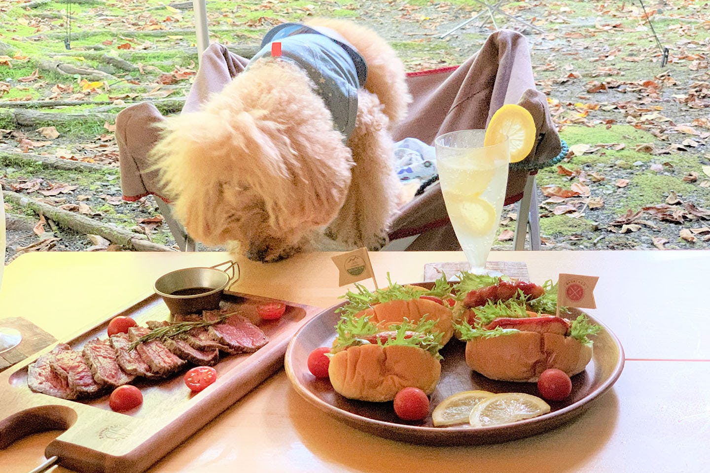 朝ごはんをみるネネ