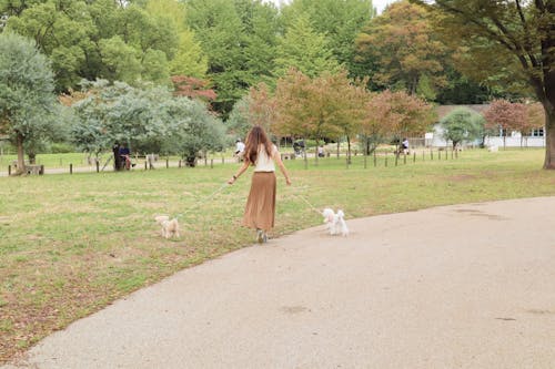 代々木公園 愛犬とお出かけ ドッグランだけじゃないフォトジェニックな代々木公園 わんクォール