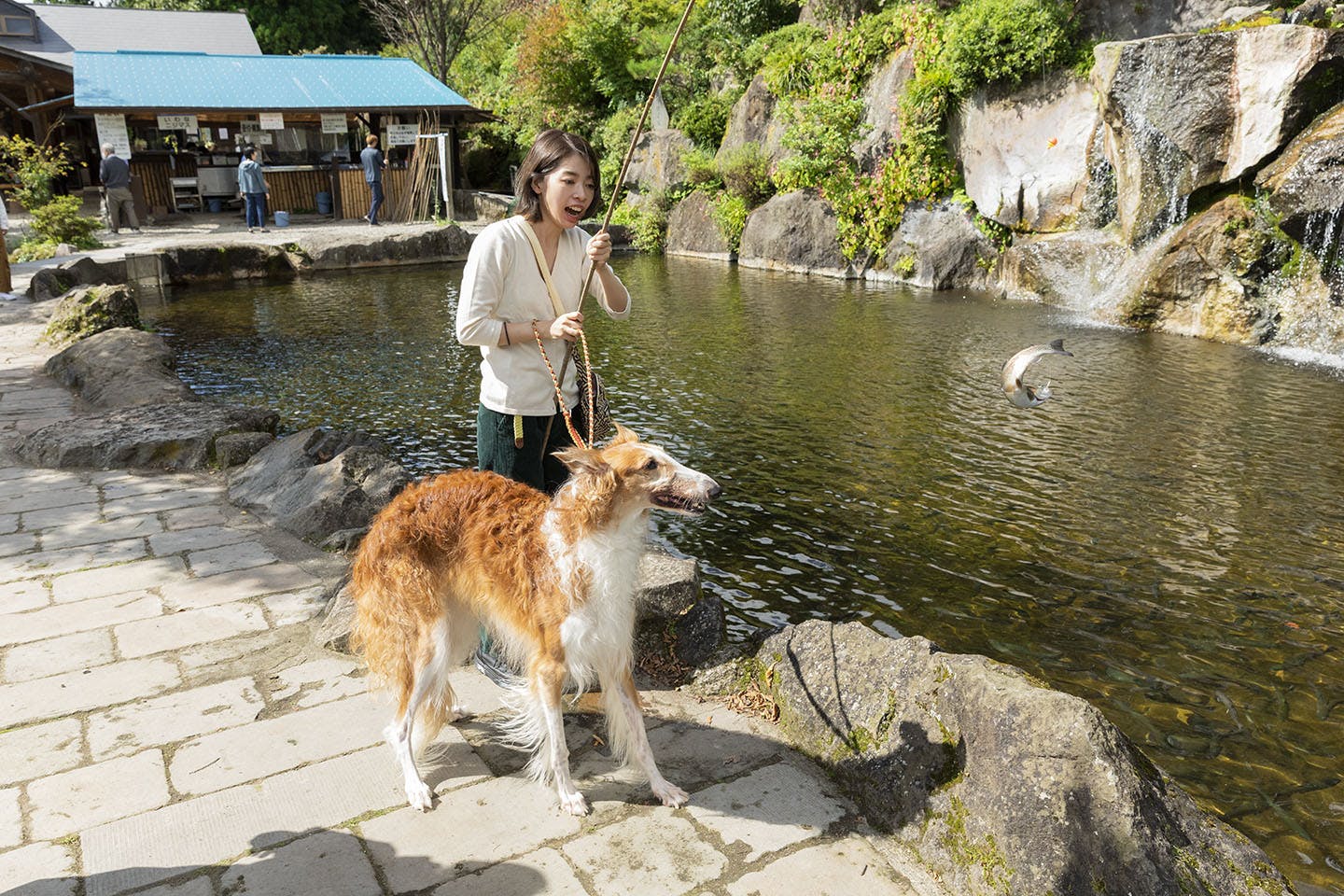 那須 犬okの釣り堀 ランチタイムだって楽しさいっぱい Wanqol編集部レポ Active おでかけ わんクォール