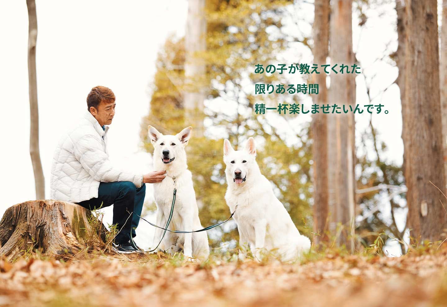 愛犬家の一日《WanScene104》Natsuパパさん&ナツ・心（ホワイト