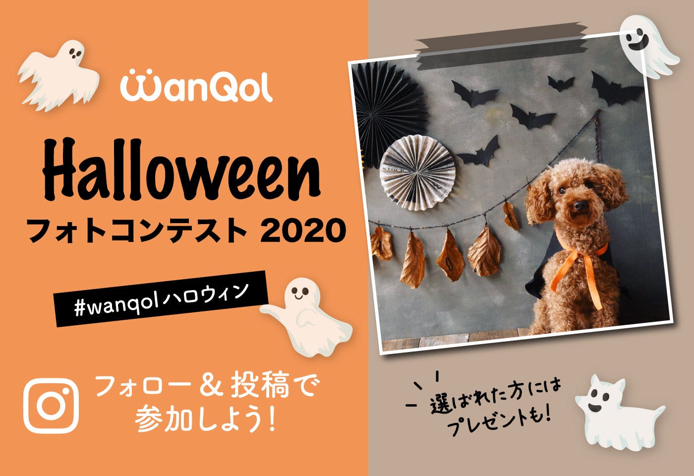 各10分で完成 愛犬のハロウィン衣装と撮影アイテムを作ろう はじめてのワンコdiy Diy 手作り犬アイテム わんクォール