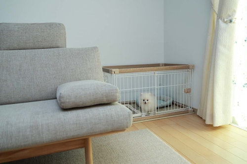 獣医師監修 犬にケージが必要な理由とは メリットや使用するときの注意点 商品の選び方について解説 わんクォール 獣医師監修 犬にケージが必要な理由とは メリットや使用するときの注意点 商品の選び方について解説 わんクォール