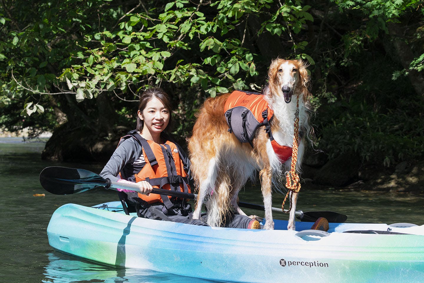 那須 関東近郊で犬と遊ぼう カヌー体験でアウトドアを満喫 Wanqol編集部レポ Active おでかけ わんクォール