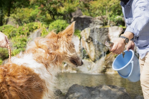 那須 犬okの釣り堀 ランチタイムだって楽しさいっぱい Wanqol編集部レポ わんクォール