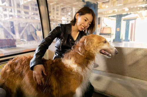 那須 犬と乗れるゴンドラを初体験 関東最大級の山頂ドッグランへ行こう Wanqol編集部レポ わんクォール