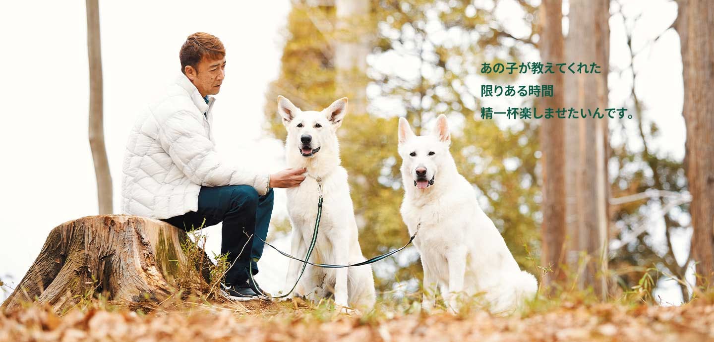 愛犬家の一日《WanScene104》Natsuパパさん&ナツ・心（ホワイト