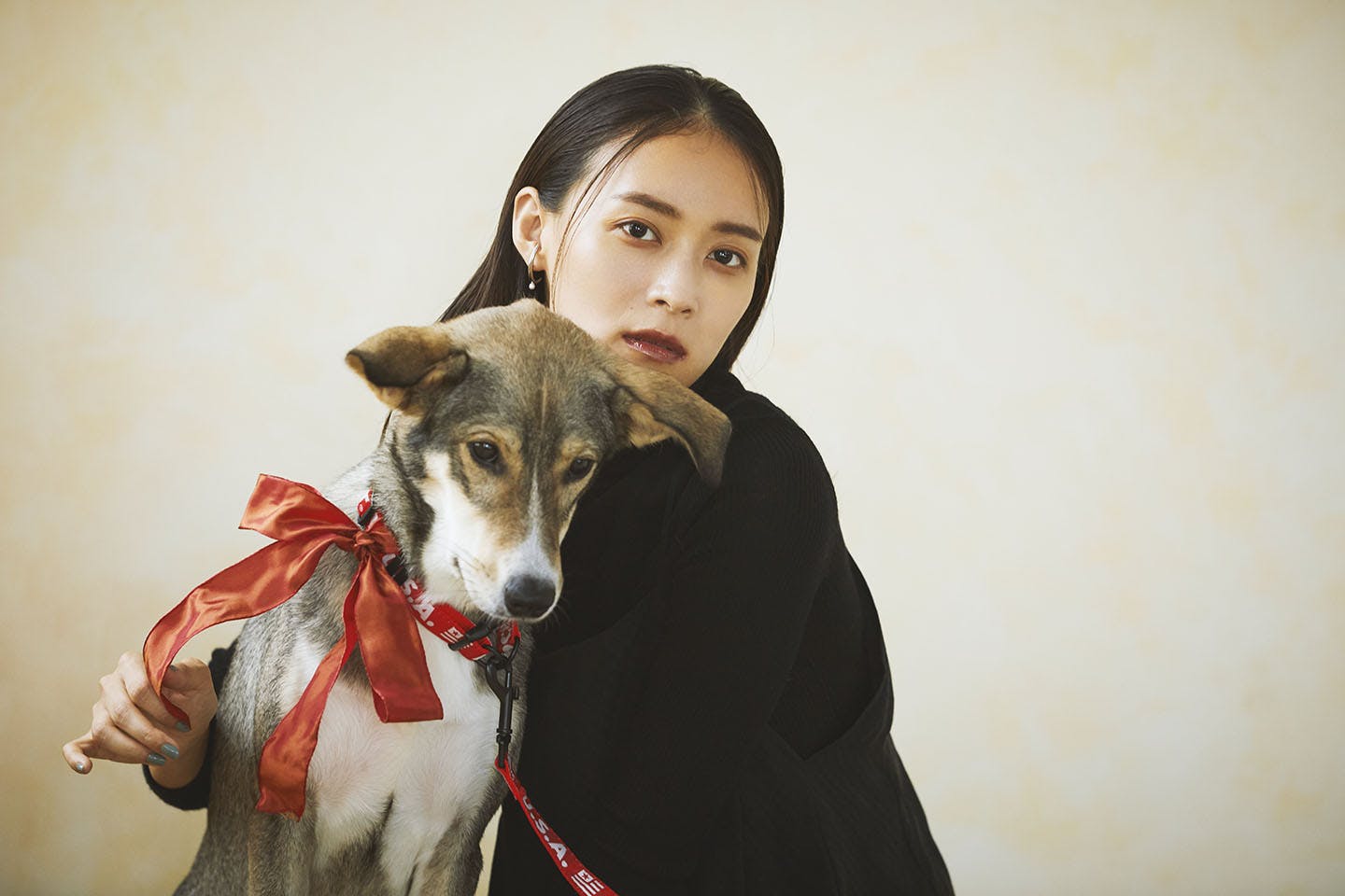 愛犬とリンクコーデでオシャレしよう ハロウィン Fashion ファッション わんクォール